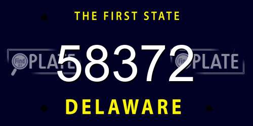 58372 Delaware License Plate