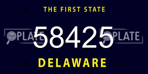 58425 Delaware License Plate