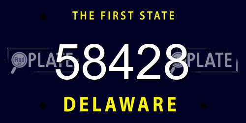 58428 Delaware License Plate