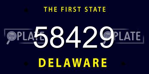 58429 Delaware License Plate