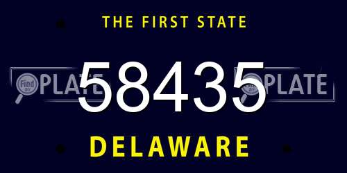 58435 Delaware License Plate