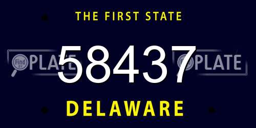 58437 Delaware License Plate