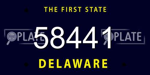 58441 Delaware License Plate