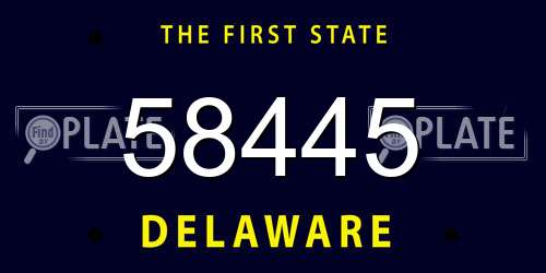 58445 Delaware License Plate
