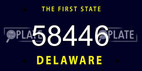 58446 Delaware License Plate