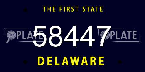 58447 Delaware License Plate