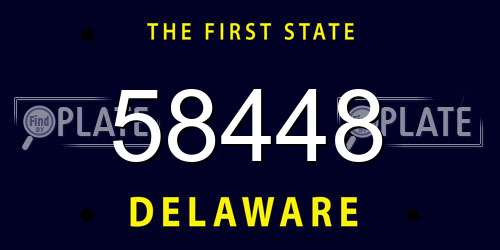 58448 Delaware License Plate