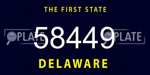 58449 Delaware License Plate