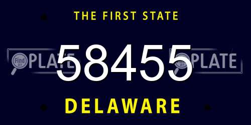 58455 Delaware License Plate