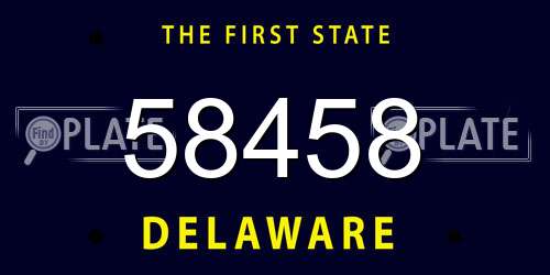 58458 Delaware License Plate