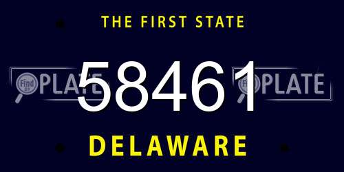 58461 Delaware License Plate
