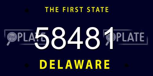 58481 Delaware License Plate