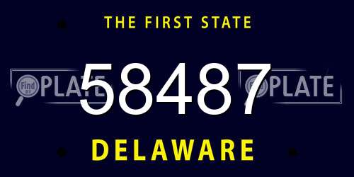 58487 Delaware License Plate