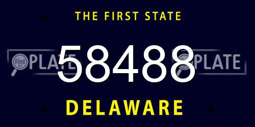 58488 Delaware License Plate