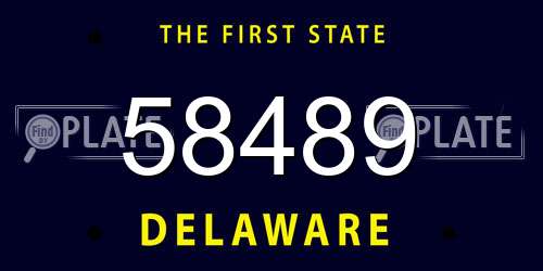 58489 Delaware License Plate