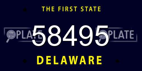 58495 Delaware License Plate