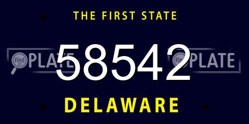 58542 Delaware License Plate