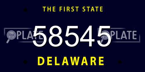 58545 Delaware License Plate