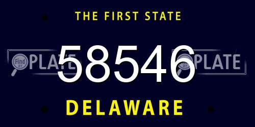 58546 Delaware License Plate