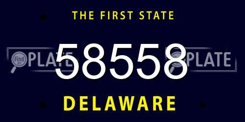 58558 Delaware License Plate