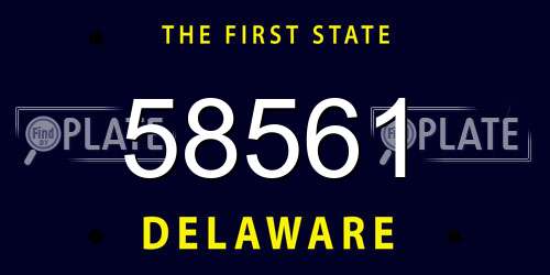 58561 Delaware License Plate