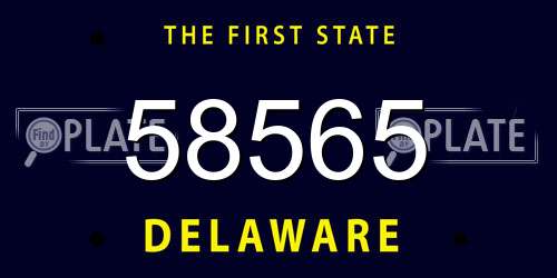 58565 Delaware License Plate