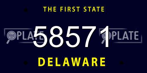 58571 Delaware License Plate