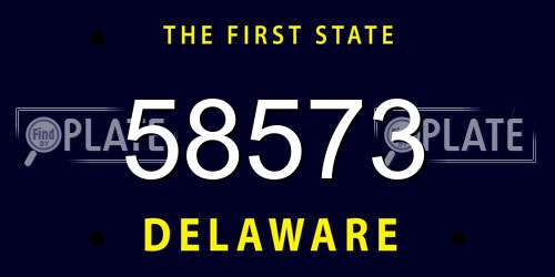 58573 Delaware License Plate