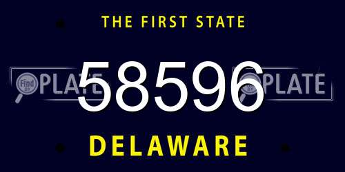 58596 Delaware License Plate