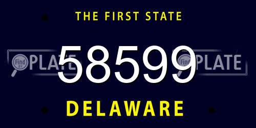 58599 Delaware License Plate