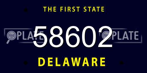 58602 Delaware License Plate