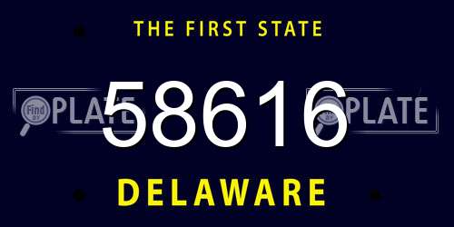 58616 Delaware License Plate