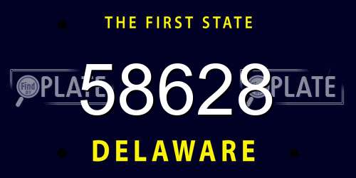 58628 Delaware License Plate