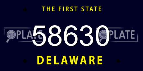 58630 Delaware License Plate