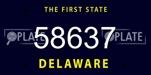58637 Delaware License Plate