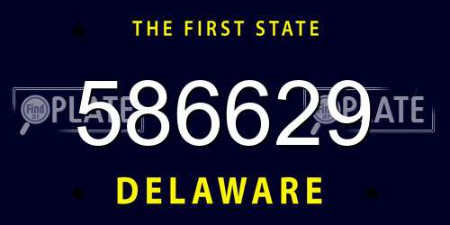 586629 Delaware License Plate