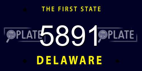 5891 Delaware License Plate