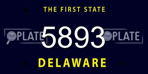 5893 Delaware License Plate