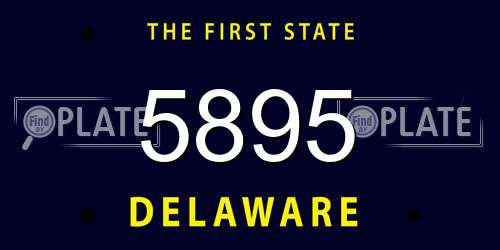5895 Delaware License Plate