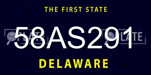 58AS291 Delaware License Plate