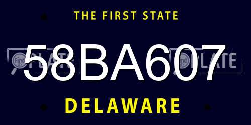 58BA607 Delaware License Plate