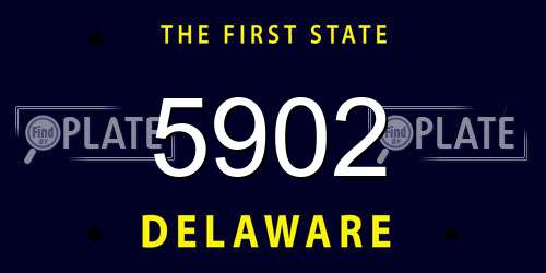 5902 Delaware License Plate