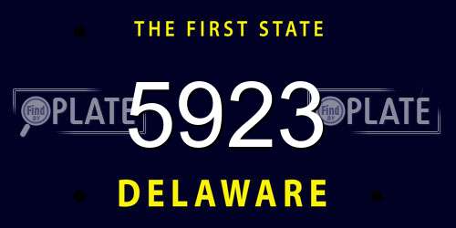 5923 Delaware License Plate