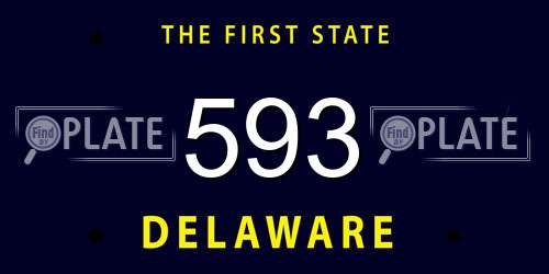 593 Delaware License Plate