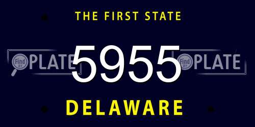 5955 Delaware License Plate