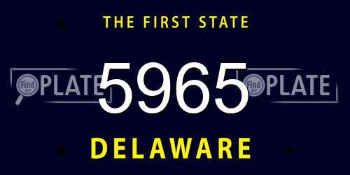 5965 Delaware License Plate