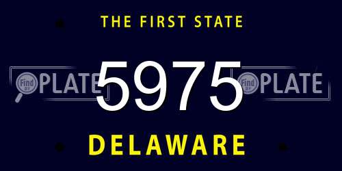 5975 Delaware License Plate