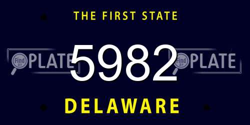 5982 Delaware License Plate