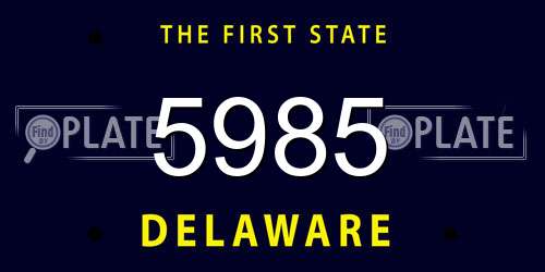 5985 Delaware License Plate