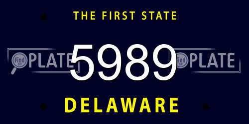 5989 Delaware License Plate